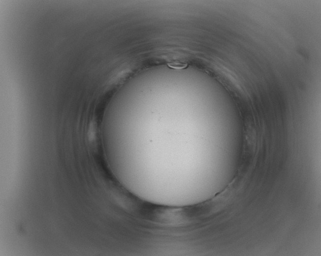 X0000116840132200912241236