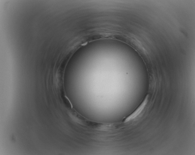 X0000116840136200912241236