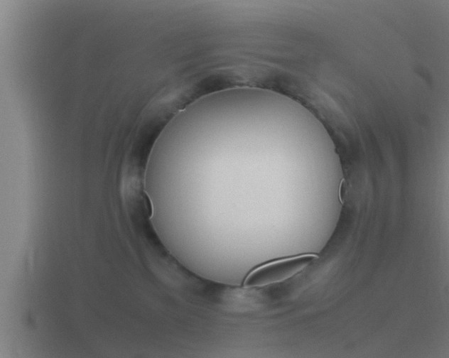 X0000116840137200912241236