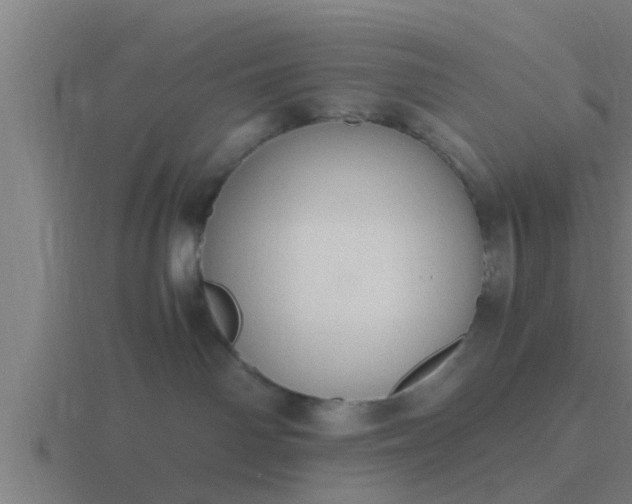 X0000116840142200912241236