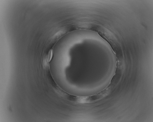 X0000116840143200912241236