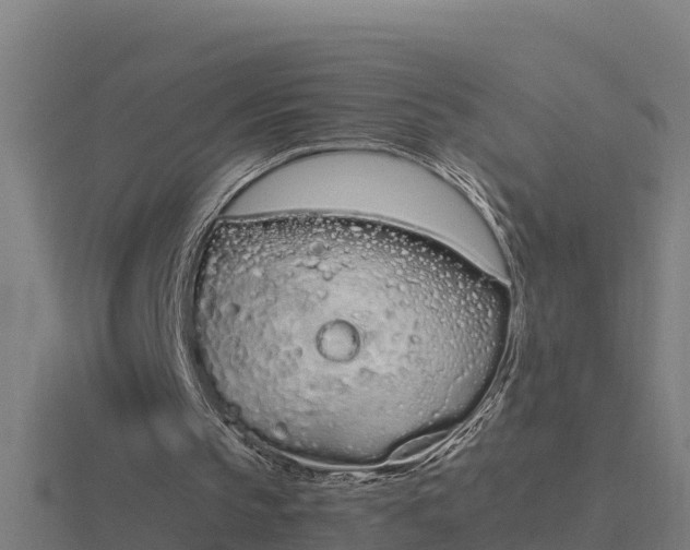 X0000116840145200912241235