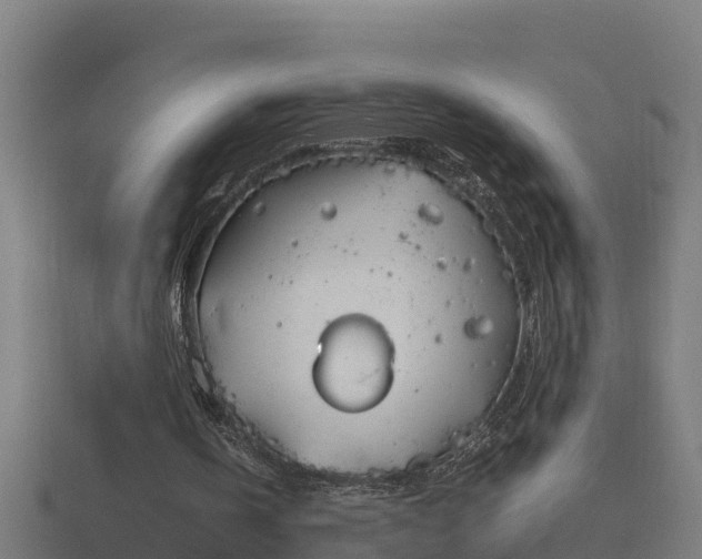 X0000116840146200912241235