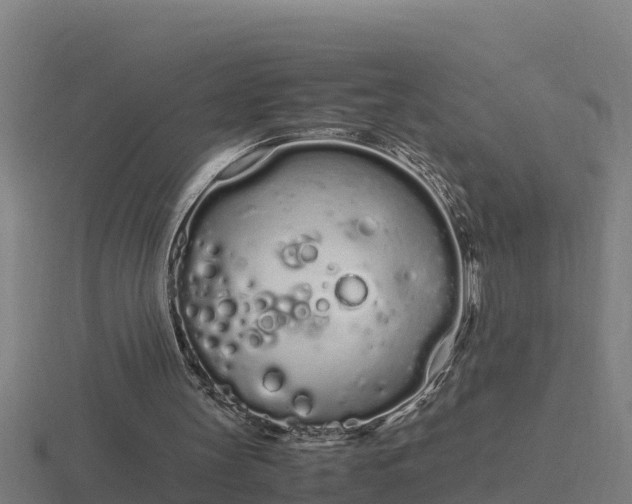 X0000116840147200912241235