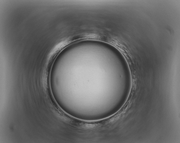 X0000116840149200912241235