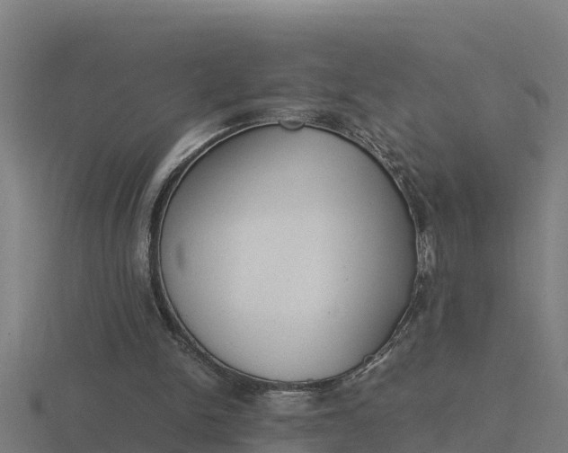 X0000116840150200912241235