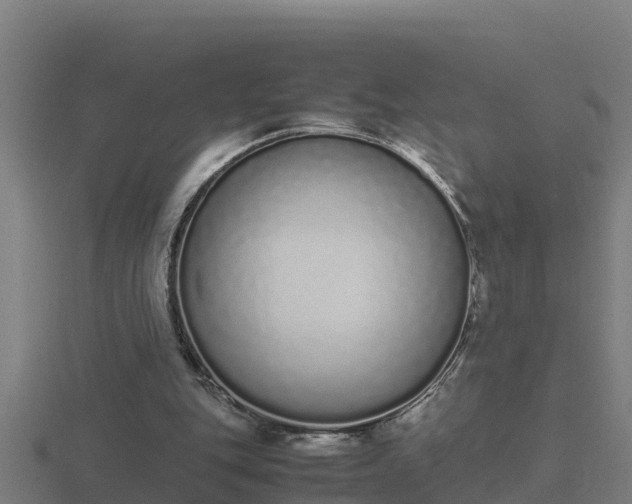 X0000116840151200912241235