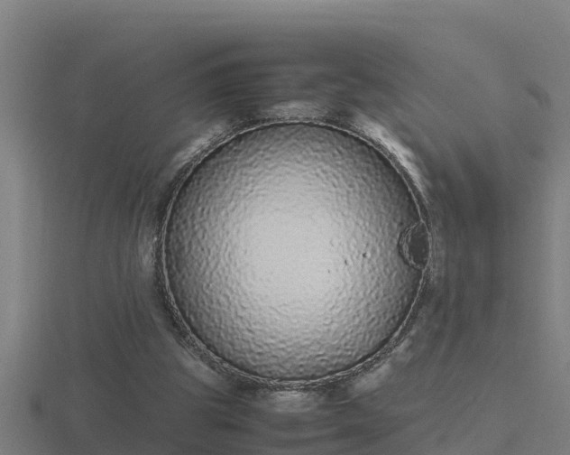 X0000116840153200912241235