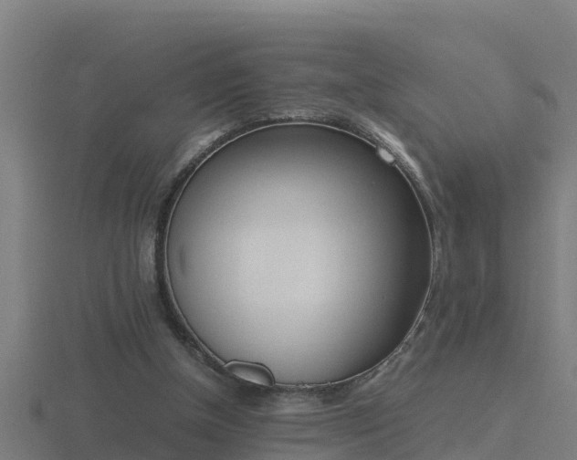 X0000116840154200912241235