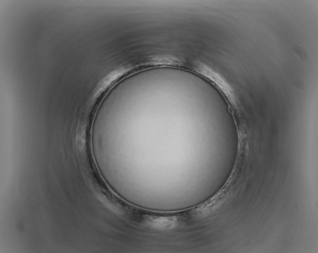 X0000116840155200912241235