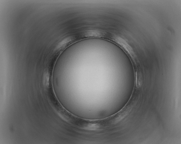 X0000116840157200912241235