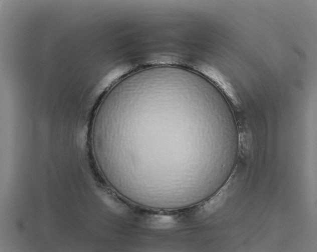 X0000116840159200912241235