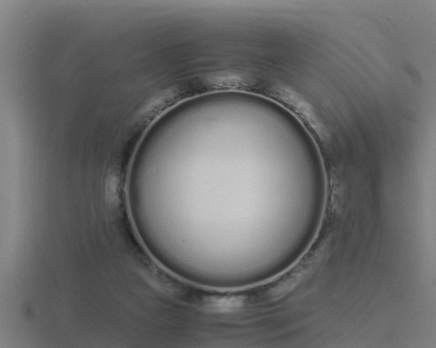 X0000116840161200912241235