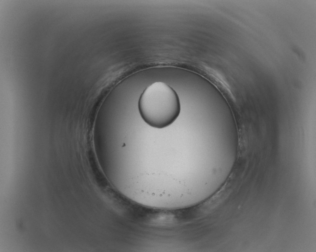 X0000116840162200912241235