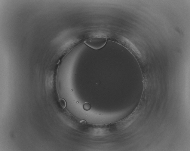 X0000116840163200912241235