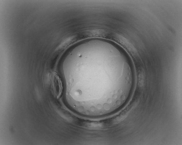 X0000116840165200912241235