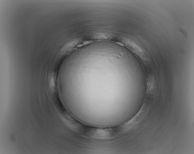 X0000116840166200912241235