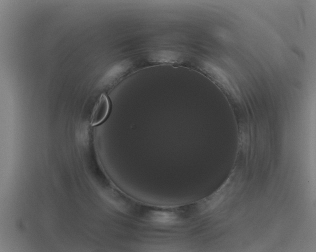 X0000116840167200912241235