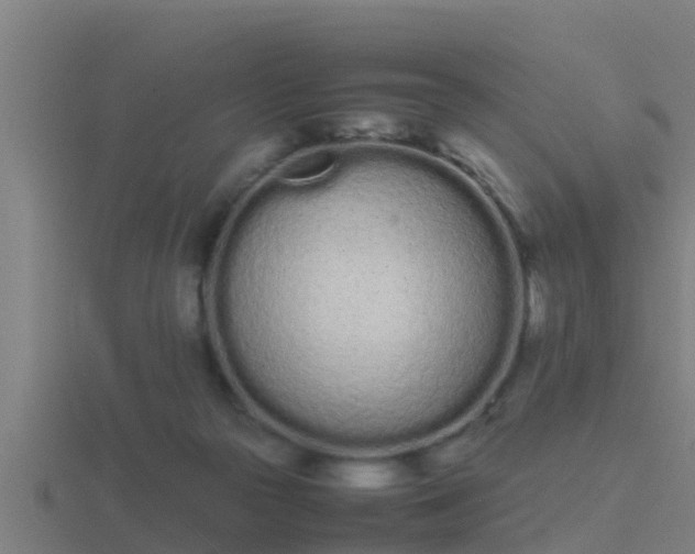 X0000116840169200912241235