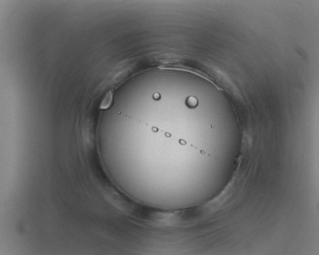 X0000116840170200912241235