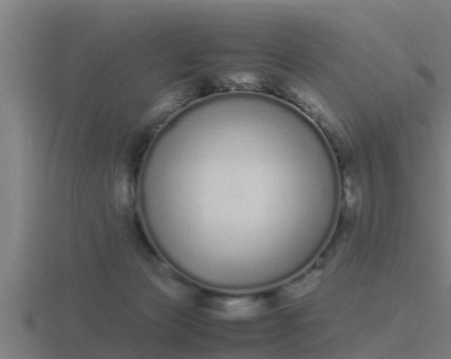 X0000116840173200912241235