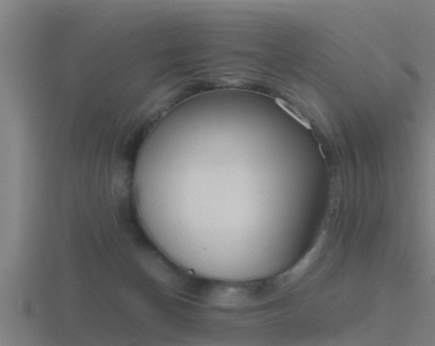 X0000116840174200912241235