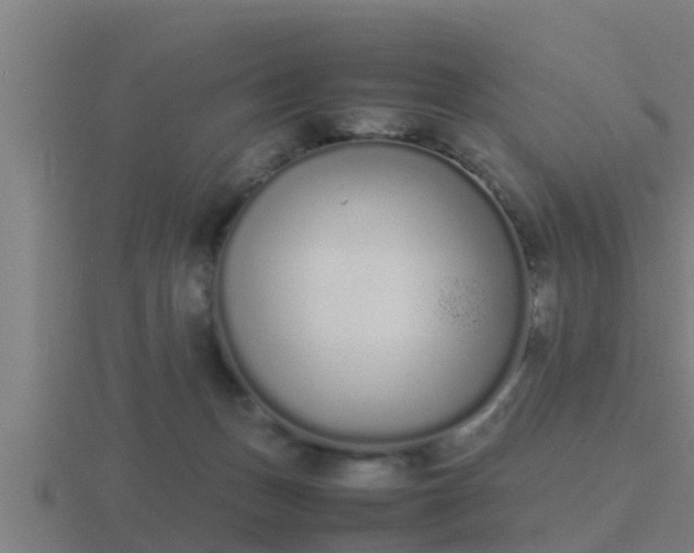 X0000116840175200912241235