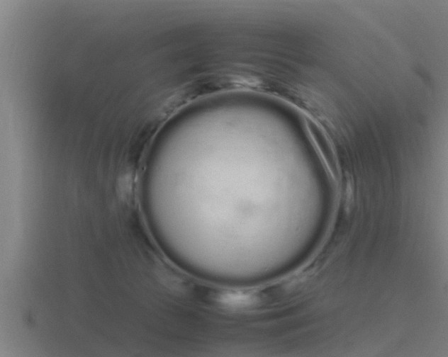 X0000116840177200912241235