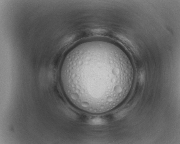 X0000116840181200912241235