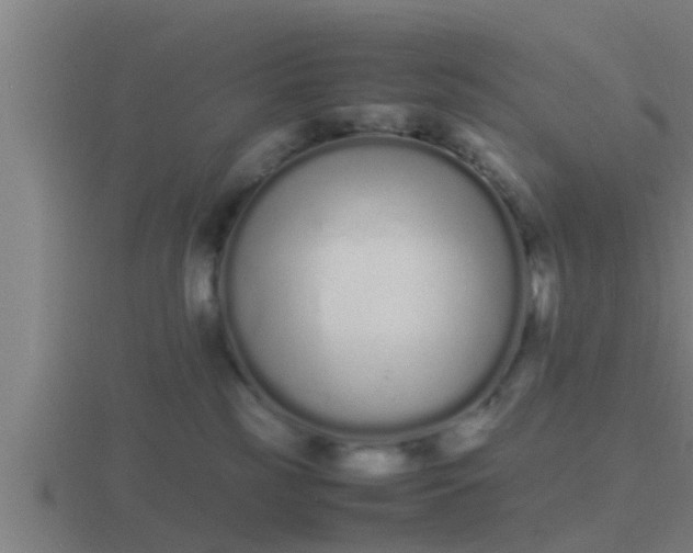 X0000116840185200912241235