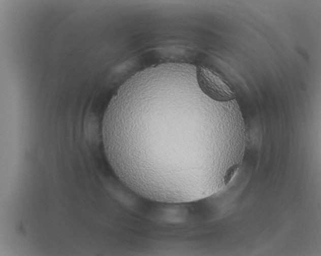 X0000116840187200912241235