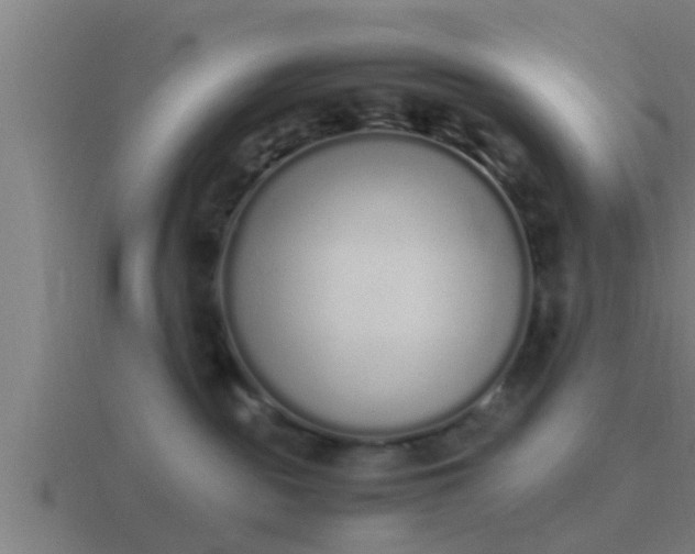 X0000116840189200912241235