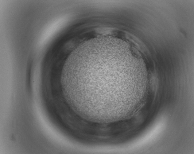 X0000116840191200912241235