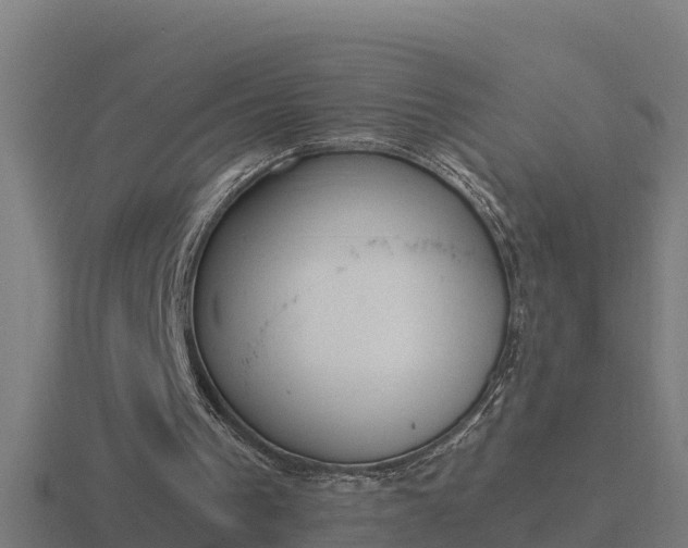 X0000116840193200912241235