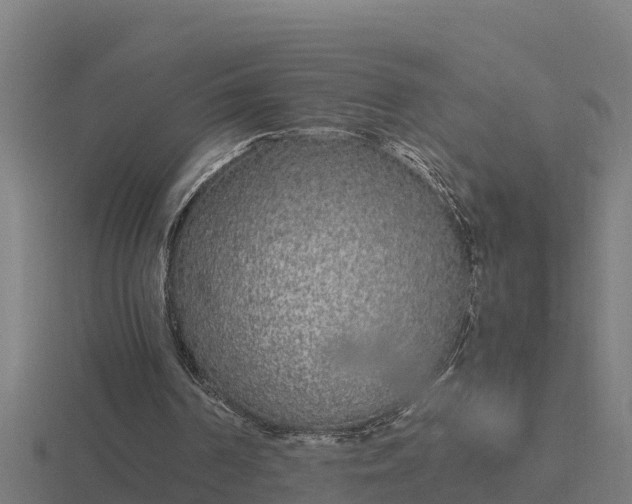 X0000116840194200912241235