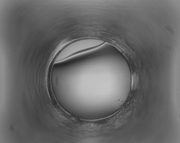 X0000116840195200912241235