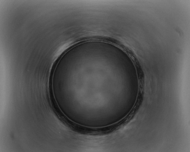 X0000116840196200912241235