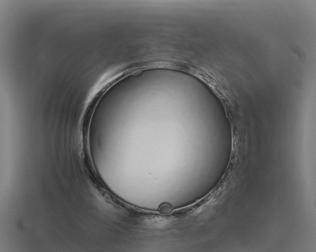 X0000116840198200912241235