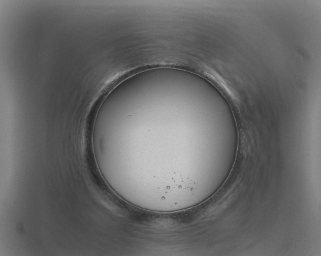 X0000116840203200912241235