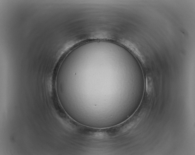 X0000116840204200912241235