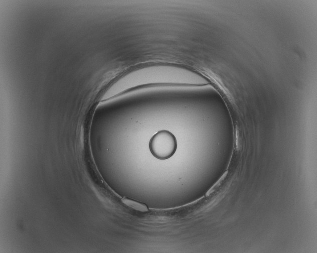 X0000116840205200912241235