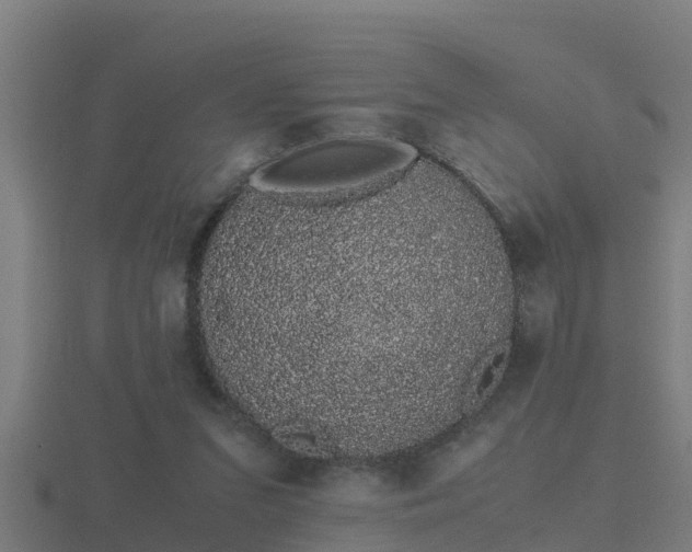 X0000116840207200912241235