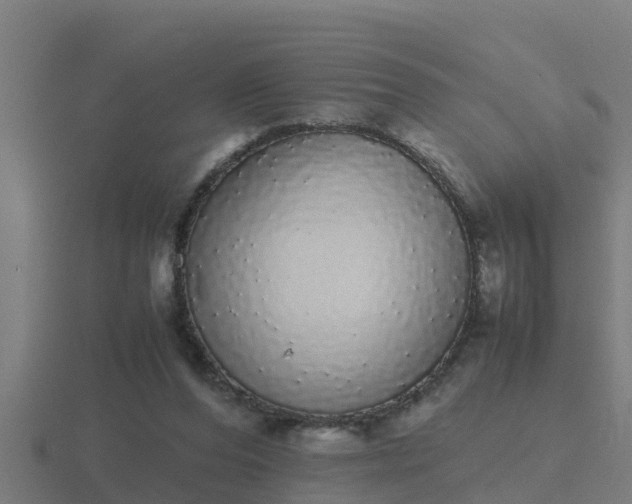 X0000116840208200912241235