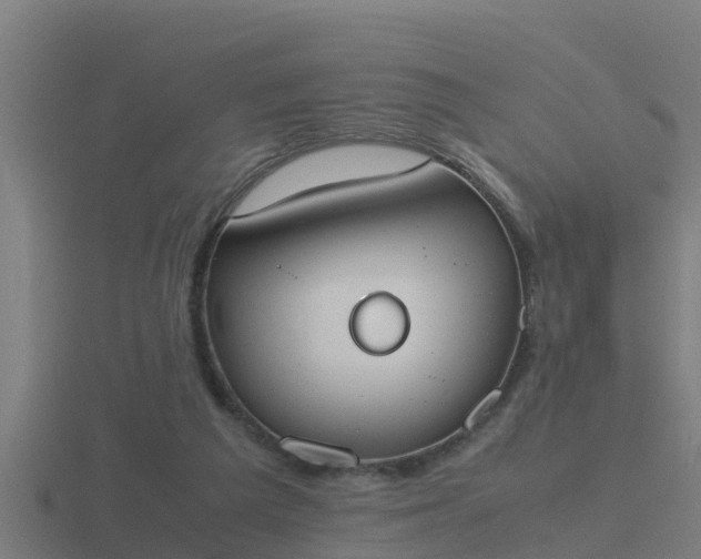 X0000116840209200912241235