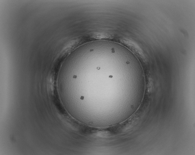 X0000116840210200912241235