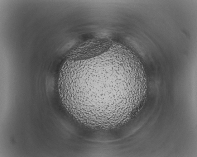 X0000116840211200912241235