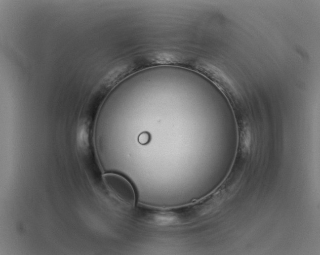 X0000116840214200912241235