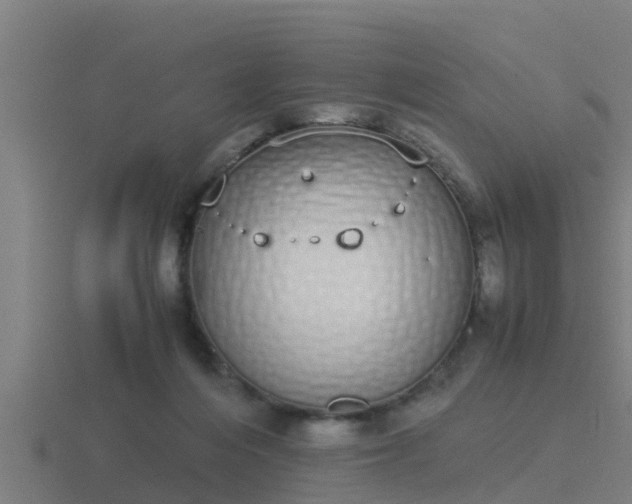 X0000116840216200912241235