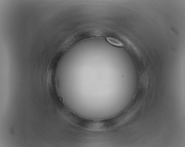 X0000116840217200912241235