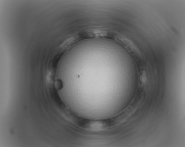 X0000116840218200912241235